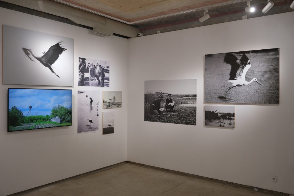 Exhibition