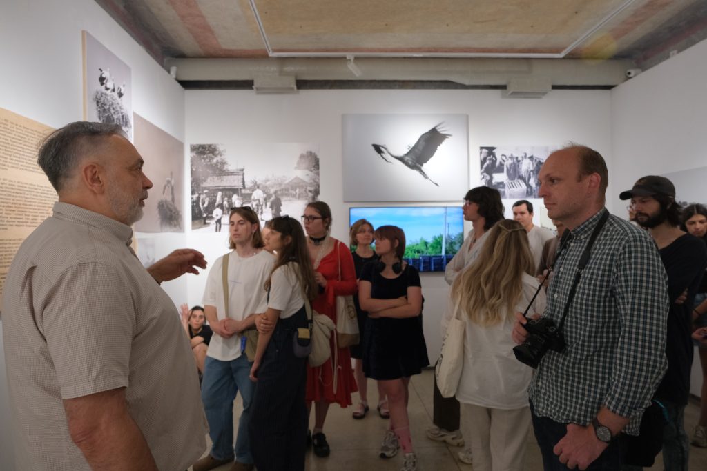 Curatorial