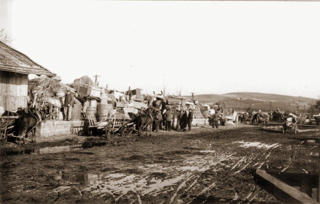 Movements Across Borders: Postwar Migrations and Experiences of Borderland People